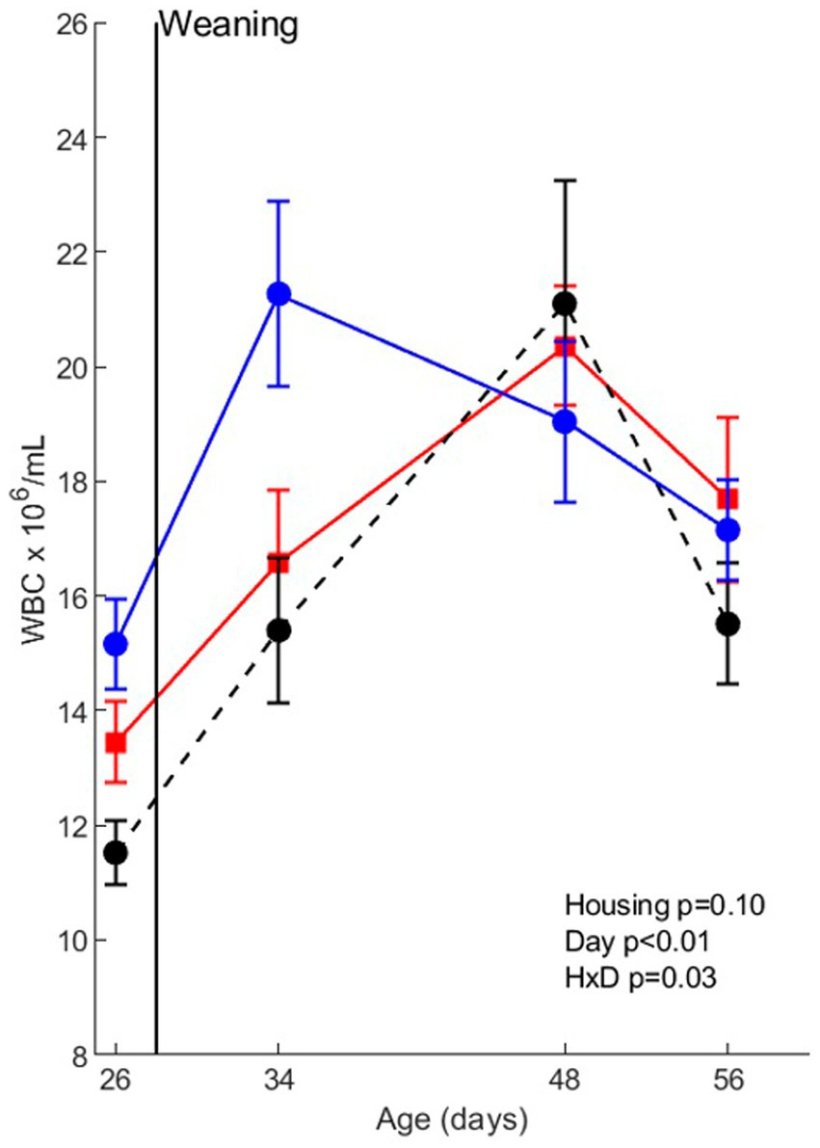 Figura 2: Conteggio delle cellule del sangue intero (WBC) prima della co-infezione nei suini (n=30) con diversi trattamenti di stabulazione (rosso=CCH (stabulazione convenzionale-convenzionale); nero=CEH (stabulazione convenzionale-arricchita); blu=EEH (stabulazione arricchita-arricchita)). HxD: effetto dell'interazione alloggio-giorno.