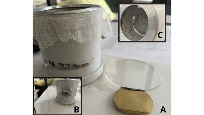 Figura 2. Configurazione sperimentale della trasmissione del virus della peste suina africana: trappole per infezione modificate per mosche adulte – (A) fronte, (B) retro, (C) prospettiva dall'alto. La figura è stata prodotta utilizzando Canva (2024),