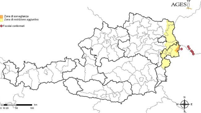 Tra il 1° gennaio 2025 sono stati confermati focolai di afta epizootica in Ungheria e Slovacchia e in Austria sono state istituite zone di restrizione e sorveglianza. Fonte: AGES.