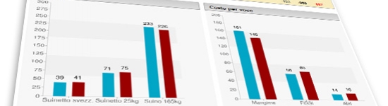 Simulatore dei costi