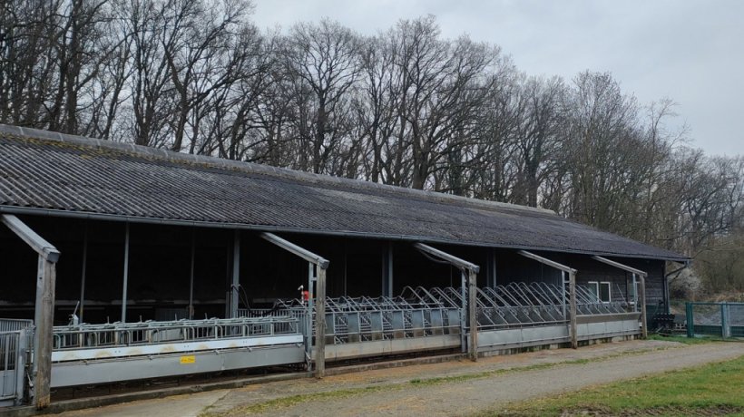 Area esterna coperta dedicata allo svezzamento delle scrofe e alla copertura con gabbie autocaturanti