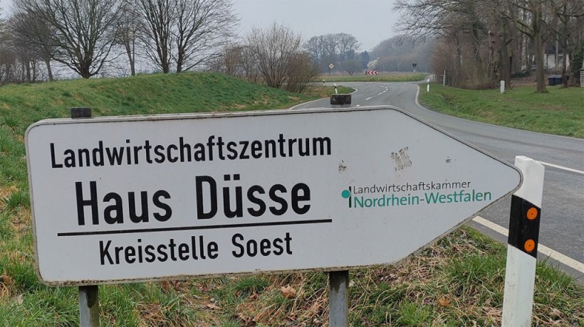 Haus Dusse 15