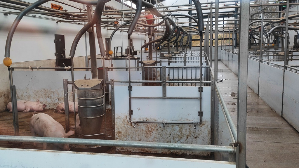 Reparto alimentazione del box situato vero linterno del capannone, si può osservare parte del tetto centrale con lapertura trasparente