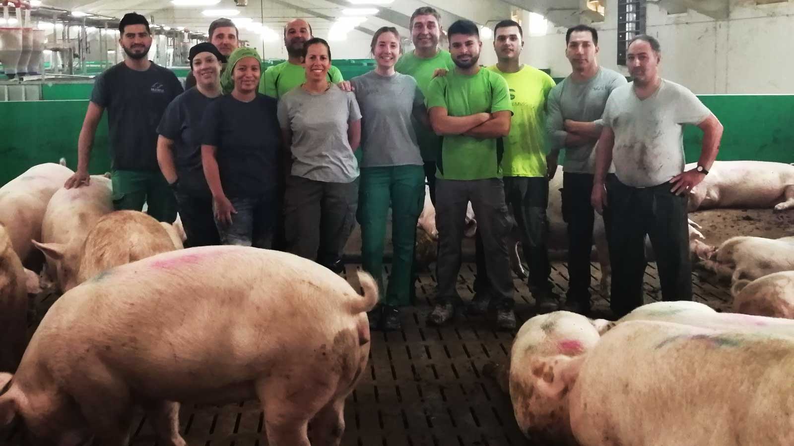 Lequipe del reparto coperture