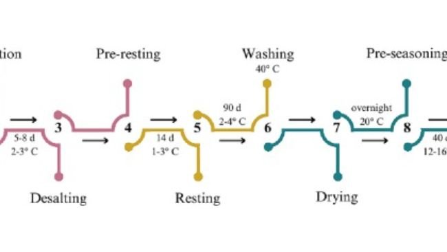 Figura 1. Cronologia del processo di lavorazione del prosciutto crudo: dall'arrivo delle cosce alla fine della stagionatura. https://doi.org/10.1016/j.meatsci.2023.109266.