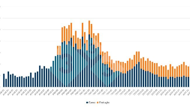 Evoluzione delle importazioni mensili cinesi di carne suina e frattaglie. Fonte: 333 sulla base dei dati dell'Amministrazione Generale delle Dogane della Cina.