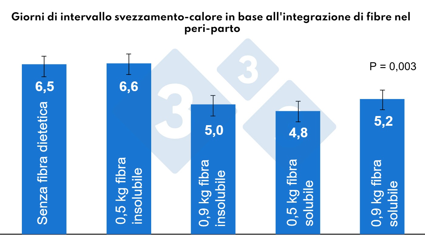 Effetti della fibra durante il periodo peripartum sullintervallo svezzamento-calore