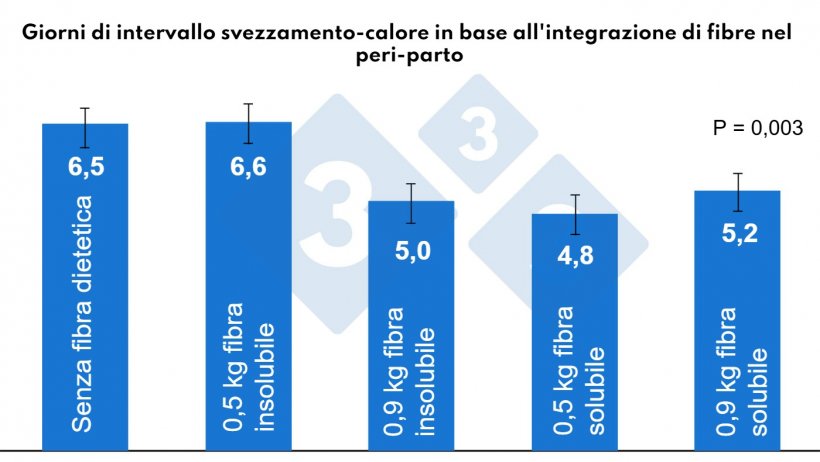 Figura 4. Effetti della fibra durante il periodo peripartum sull'intervallo svezzamento-calore. Adattato da Martínez, 2022.