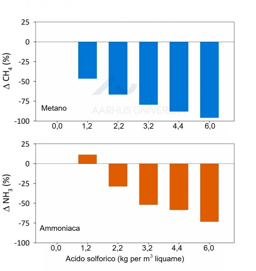 Figura 1. La normativa danese richiede l'aggiunta di 6 kg di acido solforico per m³ di liquame suino per ridurre le emissioni di ammoniaca. In uno studio pilota sono state utilizzate sei diverse dosi di acido (da 0 a 6 kg per m³). I due grafici mostrano le variazioni percentuali delle emissioni di metano e ammoniaca, prendendo come riferimento il liquame suino non trattato. Fonte: Ma et al., 2022.