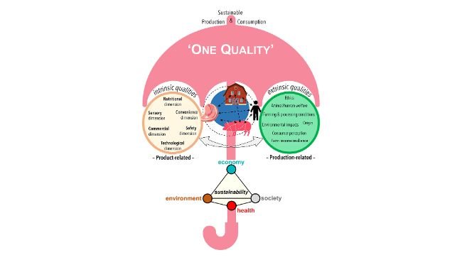 Fig. 2. Il principio fondamentale del concetto "One Quality" mira a integrare sotto un unico ombrello le qualità intrinseche ed estrinseche della carne suina nell'ambito dei diversi pilastri della sostenibilità, per garantire una carne suina sana, nutriente, equa e rispettosa dell'ambiente, prodotta in modo redditizio. L'approccio supporta una visione unitaria all'interno di un quadro integrato di principi orientati alla sostenibilità, orientati al futuro e sensibili alle attuali esigenze dei consumatori e delle politiche.