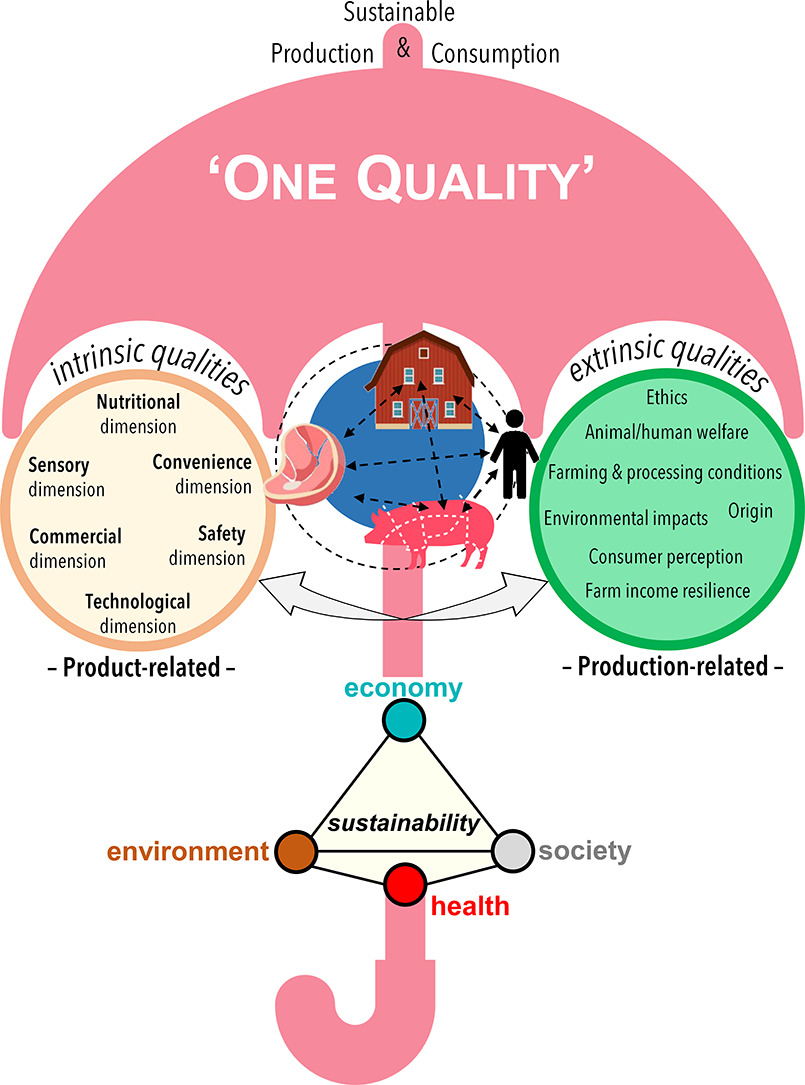 Fig. 2. Il principio fondamentale del concetto "One Quality" mira a integrare sotto un unico ombrello le qualità intrinseche ed estrinseche della carne suina nell'ambito dei diversi pilastri della sostenibilità, per garantire una carne suina sana, nutriente, equa e rispettosa dell'ambiente, prodotta in modo redditizio. L'approccio supporta una visione unitaria all'interno di un quadro integrato di principi orientati alla sostenibilità, orientati al futuro e sensibili alle attuali esigenze dei consumatori e delle politiche.