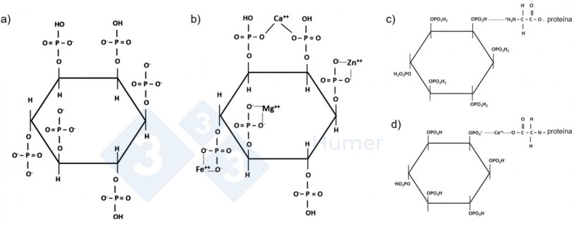Figura 1. Struttura dell'acido fitico a pH neutro (a); struttura dell'acido fitico chelato con cationi a pH neutro (b); struttura dell'acido fitico chelato con proteine a pH acido (c) e neutro (d). Adattato da Humer et al. (2014).