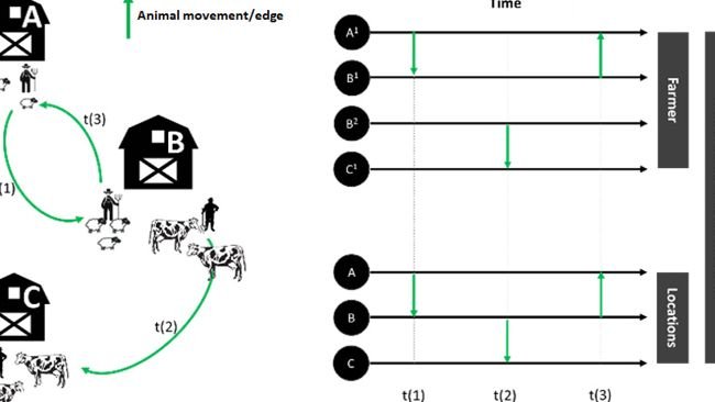 Fig. 1. Frammentazione e aggregazione della rete nei registri di movimentazione degli animali. Il pannello in alto a destra mostra come più allevatori della stessa azienda siano rappresentati come nodi diversi, il che porta a una frammentazione artificiale. Il pannello in basso a destra illustra il processo di aggregazione, in cui ogni nodo rappresenta l'azienda fisica, che comprende più proprietari a livello fiscale.
https://doi.org/10.1371/journal.pone.0317313.g001