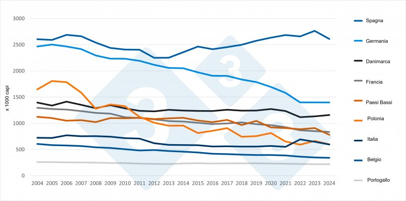 Evoluzione del numero di scrofe nei principali paesi produttori dell'UE (2004-2024). Fonte: 333 su dati Eurostat.
