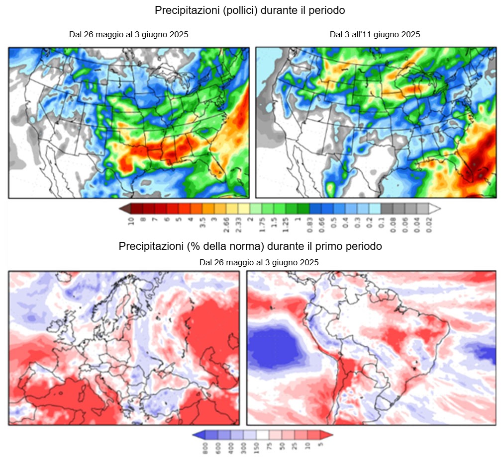 Previsioni meteo per lemisfero australe e lEuropa