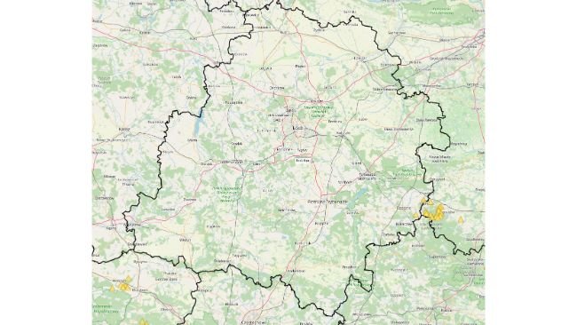 Primo caso di PSA in un cinghiale nella provincia di Lodz. Fonte: Chief Veterinary Inspectorate.