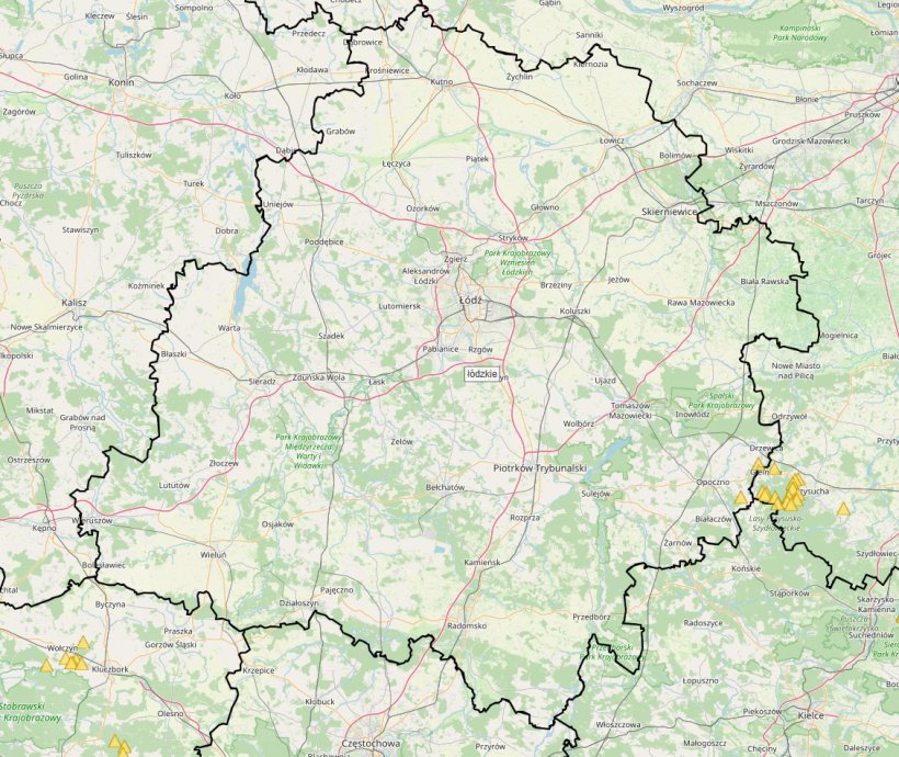 Primo caso di PSA in un cinghiale nella provincia di Lodz. Fonte: Chief Veterinary Inspectorate.