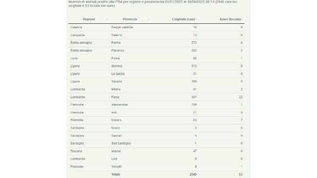 19 giugno 2025 - Psa