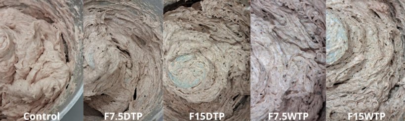 Fig. 1. Aspetto visivo degli impasti di carne cruda di salsicce tipo mortadella di controllo e riformulate con farine Tenebrio (integrali e sgrassate) come parziale sostituzione dei grassi (7,5 e 15%).
CT: controllo; 7,5WTP: sostituzione dei grassi del 7,5% con polvere di T. molitor intera; 15WTP: sostituzione dei grassi del 15% con polvere di T. molitor intera; 7,5DTP: sostituzione dei grassi del 7,5% con polvere di T. molitor precedentemente sgrassata con CO2 supercritica; 15DTP: sostituzione dei grassi del 15% con polvere di T. molitor precedentemente sgrassata con CO2 supercritica. Fonte: https://doi.org/10.1016/j.meatsci.2025.109890