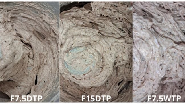 Fig. 1. Aspetto visivo degli impasti di carne cruda di salsicce tipo mortadella di controllo e riformulate con farine Tenebrio (integrali e sgrassate) come parziale sostituzione dei grassi (7,5 e 15%).
CT: controllo; 7,5WTP: sostituzione dei grassi del 7,5% con polvere di T. molitor intera; 15WTP: sostituzione dei grassi del 15% con polvere di T. molitor intera; 7,5DTP: sostituzione dei grassi del 7,5% con polvere di T. molitor precedentemente sgrassata con CO2 supercritica; 15DTP: sostituzione dei grassi del 15% con polvere di T. molitor precedentemente sgrassata con CO2 supercritica. Fonte: https://doi.org/10.1016/j.meatsci.2025.109890