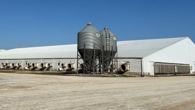 Foto 1: Uno dei capannoni dell'unità di produzione visitata.