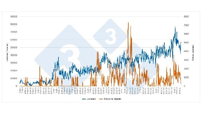 Evoluzione settimanale delle importazioni spagnole di suinetti e suini grassi dai Paesi Bassi (gennaio 2016-giugno 2025). Fonte: Redazione 333, basato sui dati della RVO.