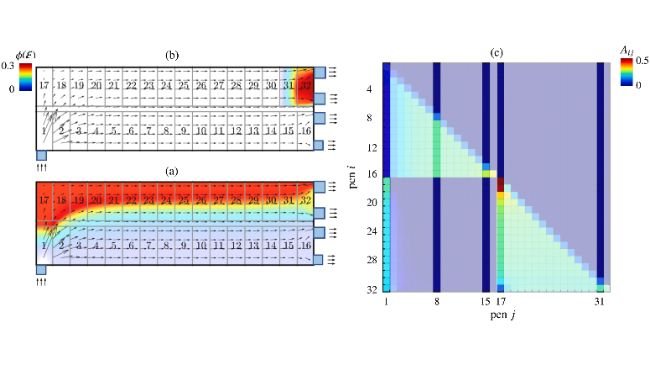 Fig. 3. Campo di concentrazione dei patogeni aerodispersi, attraverso la stalla dove (a) il box 1 e (b) il box 31 sono rispettivamente prescritti come box sorgente. (c) Il controllo è rappresentato da una  trasmissione normale da box a box con tutte le tende nella stalla chiuse. Come i "trattamenti" sono rappresentati, dalle colonne corrispondenti agli scenari in cui i box 1,8,15, 17 e 31 sono box fonti di contaminazione evidenziate in questa matrice. Fonte: doi: 10.1016/j.epidem.2025.100835