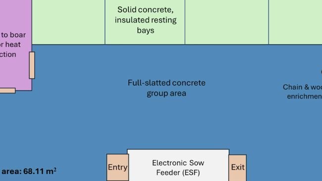 Fig. 1. Progettazione sperimentale del recinto, che illustra la posizione dell'alimentatore elettronico per scrofe (ESF) in relazione alle varie caratteristiche del box. Fonte:https://doi.org/10.1016/j.applanim.2025.106758.