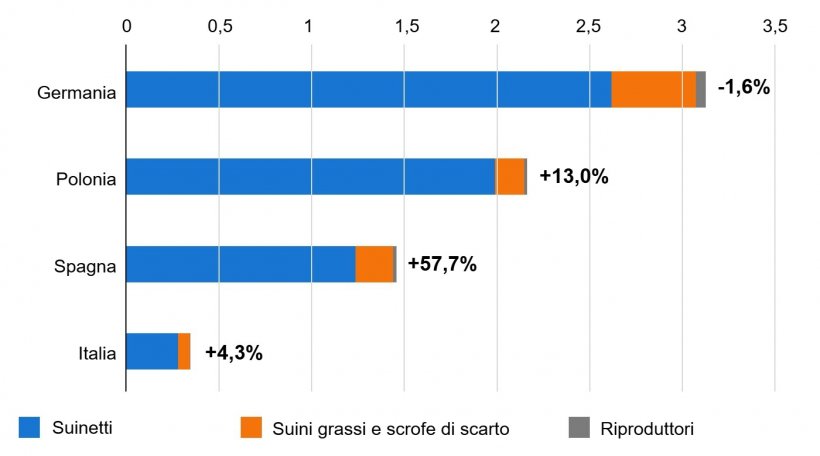 Importatori europei di suini vivi nel primo trimestre 2025/2024 (milioni di capi). Fonte: IFIP su dati Eurostat (dogane)
