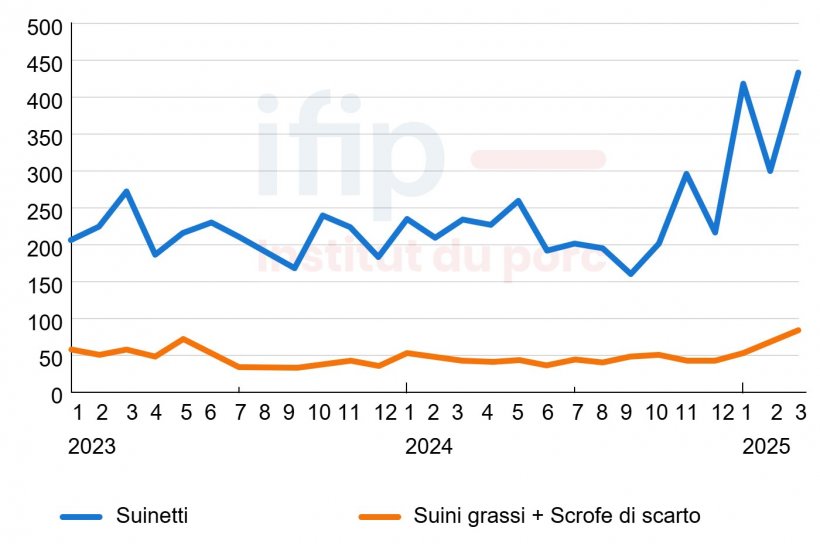 Importazioni mensili spagnole di suini vivi (migliaia di capi). Fonte: IFIP su dati Eurostat (dogane).
