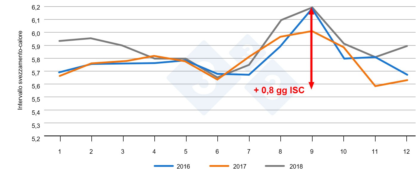 Intervallo svezzamento-calore a seconda del mese dellanno