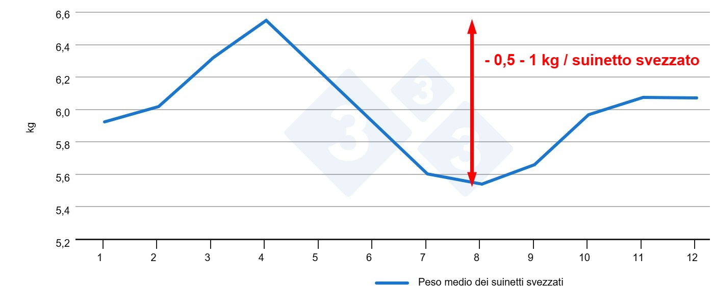 Peso dei suinetti allo svezzamento in base al mese dellanno