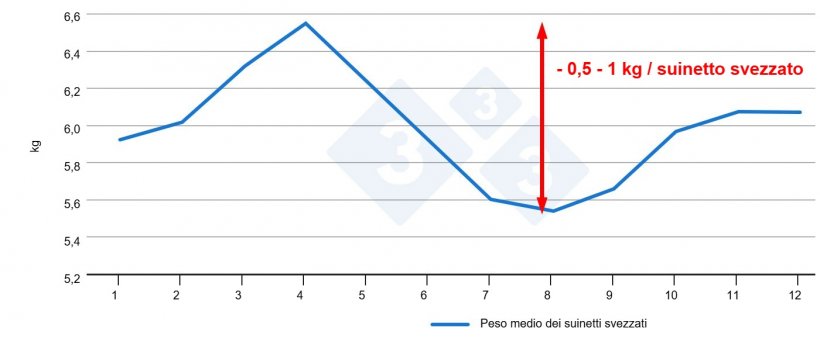 Figura 3.Peso dei suinetti allo svezzamento in base al mese dell&#39;anno (dati interni).
