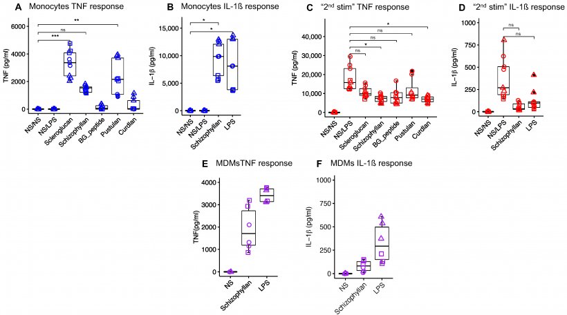 Figura 1. Risposta citochinica di monociti e MDM suini a diversi &beta;-glucani. I monociti suini sono stati trattati con diversi &beta;-glucani (10 &mu;g/mL) o LPS 10 ng/mL per 24 ore. Gli stimoli sono stati rimossi e le cellule sono state lasciate a riposo per 6 giorni, seguiti da una seconda stimolazione con LPS (1 &mu;g/mL) per 24 ore. I livelli di citochine sono stati misurati dopo il trattamento (A, B) e la restimolazione (C, D). NS/NS rappresenta le cellule che non hanno ricevuto n&eacute; la prima n&eacute; la seconda stimolazione. NS/LPS rappresenta le cellule che non hanno ricevuto la prima stimolazione ma hanno ricevuto la seconda stimolazione con LPS. (E, F) rappresentano la risposta citochinica di MDM suini alla stimolazione con schizophyllan e LPS per 24 ore. NS rappresenta gli MDM che hanno ricevuto solo il terreno di coltura. Ogni forma rappresenta una replica biologica. Il confronto tra i gruppi &egrave; stato effettuato utilizzando l&#39;ANOVA unidirezionale (ns, non significativo; * p &lt; 0,05; ** p &lt; 0,01; *** p &lt; 0,001).
Fonte:&nbsp;Vaccines&nbsp;2024,&nbsp;12, 982. https://doi.org/10.3390/vaccines12090982
