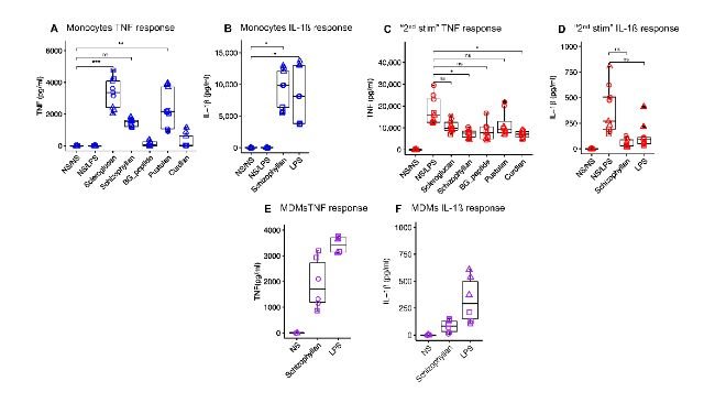 Figura 1. Risposta citochinica di monociti e MDM suini a diversi β-glucani. I monociti suini sono stati trattati con diversi β-glucani (10 μg/mL) o LPS 10 ng/mL per 24 ore. Gli stimoli sono stati rimossi e le cellule sono state lasciate a riposo per 6 giorni, seguiti da una seconda stimolazione con LPS (1 μg/mL) per 24 ore. I livelli di citochine sono stati misurati dopo il trattamento (A, B) e la restimolazione (C, D). NS/NS rappresenta le cellule che non hanno ricevuto né la prima né la seconda stimolazione. NS/LPS rappresenta le cellule che non hanno ricevuto la prima stimolazione ma hanno ricevuto la seconda stimolazione con LPS. (E, F) rappresentano la risposta citochinica di MDM suini alla stimolazione con schizophyllan e LPS per 24 ore. NS rappresenta gli MDM che hanno ricevuto solo il terreno di coltura. Ogni forma rappresenta una replica biologica. Il confronto tra i gruppi è stato effettuato utilizzando l'ANOVA unidirezionale (ns, non significativo; * p < 0,05; ** p < 0,01; *** p < 0,001).
Fonte: Vaccines 2024, 12, 982. https://doi.org/10.3390/vaccines12090982