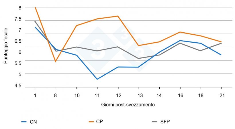 Figura 3. Effetto del trattamento e sua interazione con il giorno sul punteggio di consistenza fecale durante il periodo sperimentale. L&#39;inoculazione &egrave; avvenuta il 9&deg; giorno dopo lo svezzamento. CP = controllo positivo, CN = controllo negativo, SFP = soluzione alimentare fitogenica.
