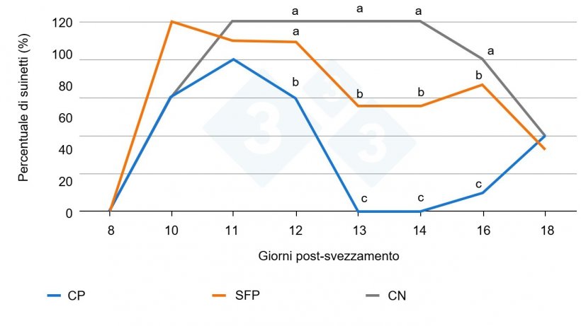 Figura 2. Effetto dell&#39;inoculazione di F4-ETEC (al 10&deg; giorno dopo lo svezzamento) e percentuale di suinetti che eliminano il batterio (Fonte: Torres-Pitarch et al., 2025). Lettere diverse per ogni giorno rappresentano differenze significative (p&lt;0,05). CP = controllo positivo (colistina), CN = controllo negativo, SFP = soluzione alimentare fitogenica. La colistina (Colisol 250.000 IE/ml) &egrave; stata utilizzata come controllo positivo e somministrata tramite acqua di bevanda&nbsp;tra l&#39;8&deg; e il 14&deg; giorno dopo lo svezzamento. La colistina &egrave; stata utilizzata come riferimento contro E. coli, nonostante le attuali restrizioni d&#39;uso.
