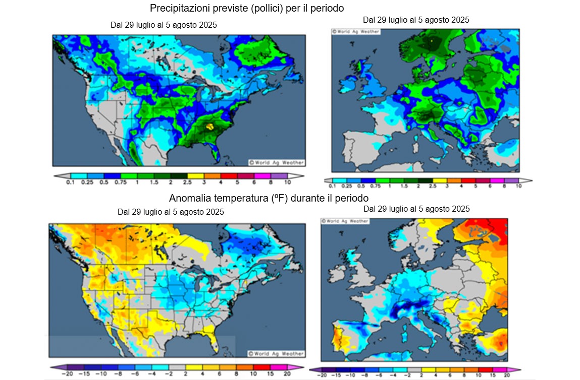 Previsioni meteo per gli Stati Uniti e lEuropa (fonte: Grads/Cola)