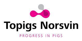 topigs