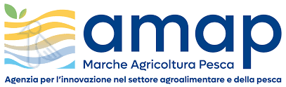 AMAP