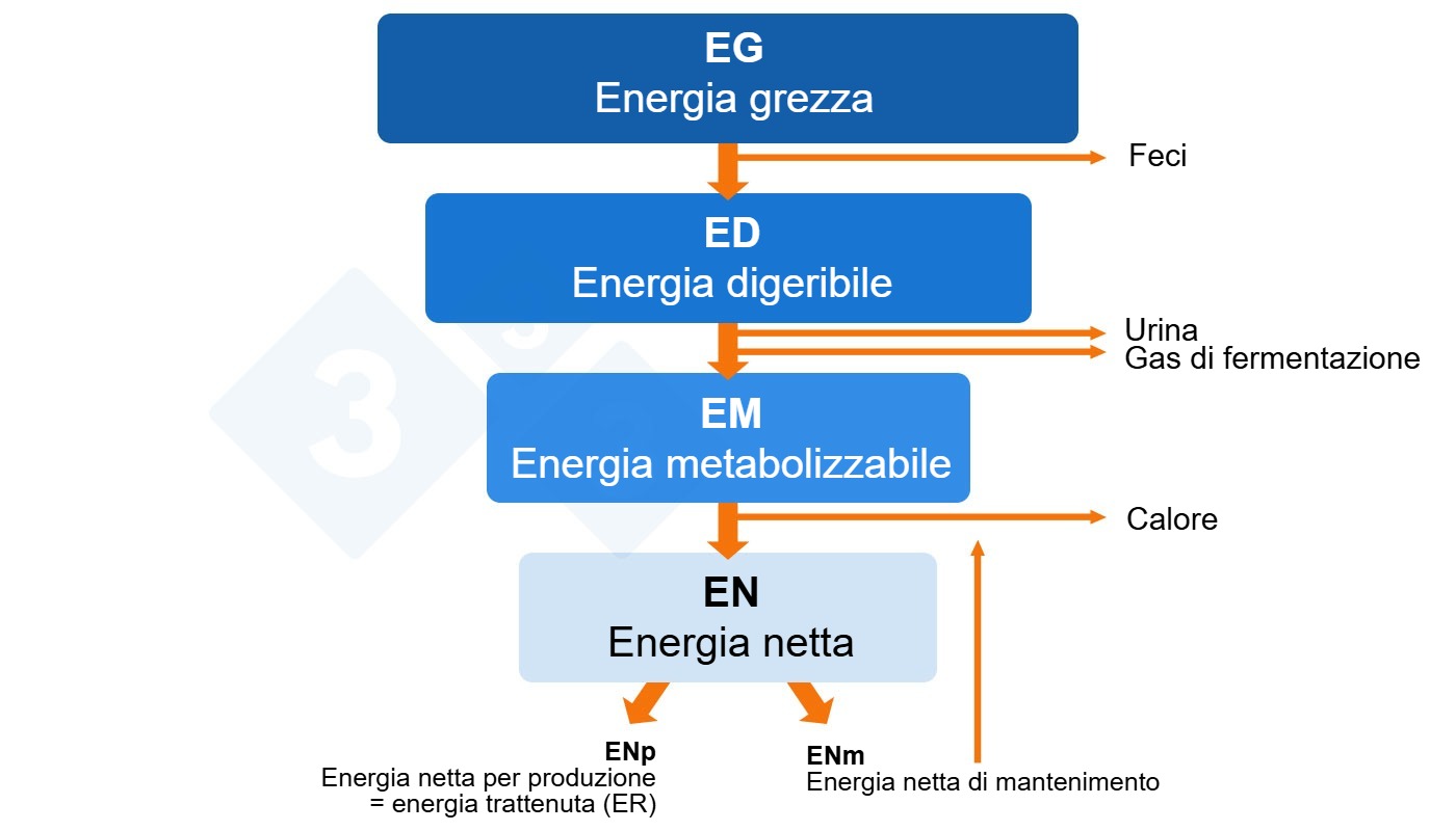 Riduzione dei costi nella formulazione dei mangimi per suini