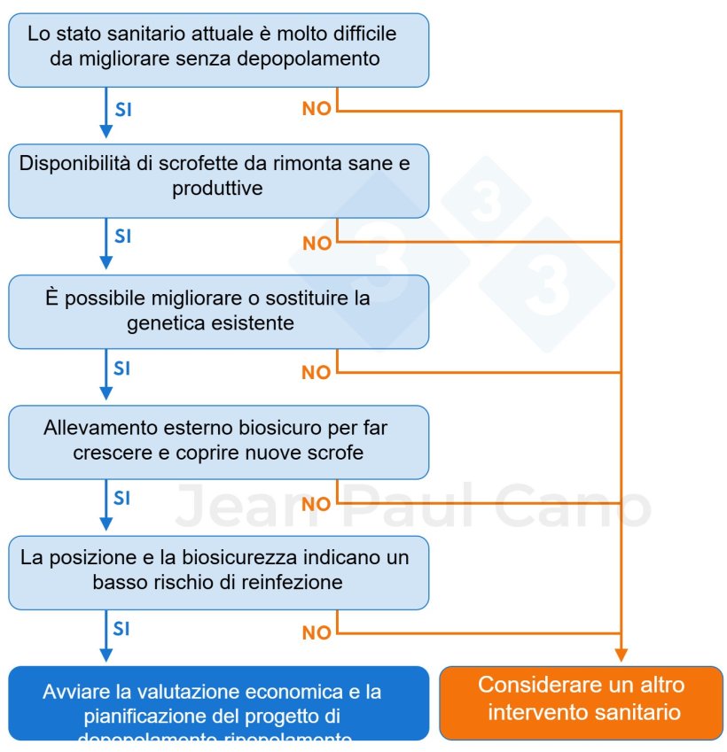 Figura 1. Albero Decisionale per valutare la fattibilità di un processo di depopolamento-ripopolamento. Il depopolamento-ripopolamento è nel migliore interesse per il mio allevamento?