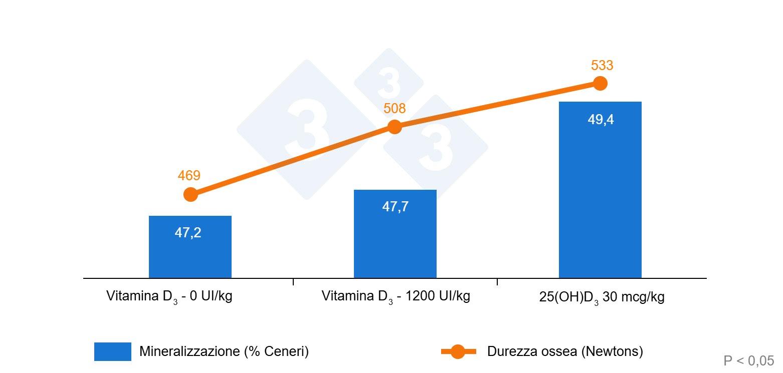 Evoluzione della qualità ossea in base alla fonte di vitamina D