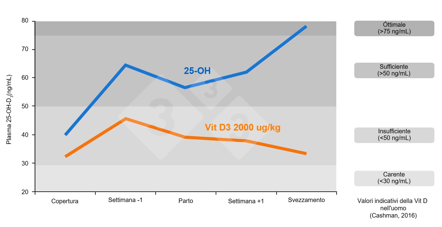 Livelli plasmatici di 25-OH-D3