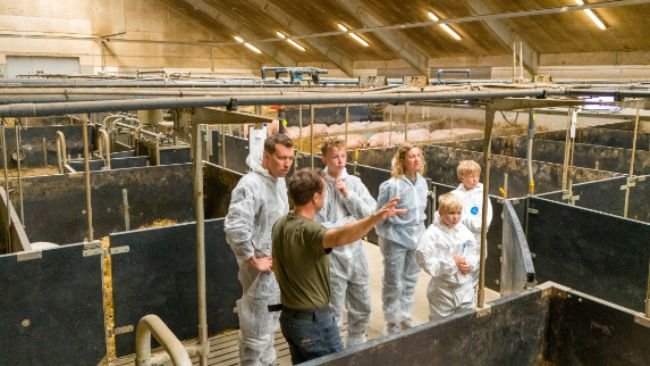 Fonte: https://svineproduktion.dk/aktuelt/