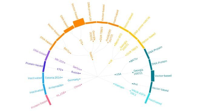 Figura 2. Riepilogo dei disegni sperimentali di 23 studi che valutano l'efficacia di vaccini non replicanti contro il virus della peste suina africana (PSA) nei suini domestici. La struttura del grafico si sposta dallo strato esterno al centro, mostrando (1) il tipo di vaccino, (2) il ceppo virale da cui è stato derivato l'antigene e (3) il paese in cui è stato condotto lo studio. LAV, Vaccino Vivo Attenuato (BA71ΔCD2); rVACV, Virus Vaccinici Ricombinanti; USA, Stati Uniti d'America; UK, Regno Unito.DOI=10.3389/fvets.2025.1614479