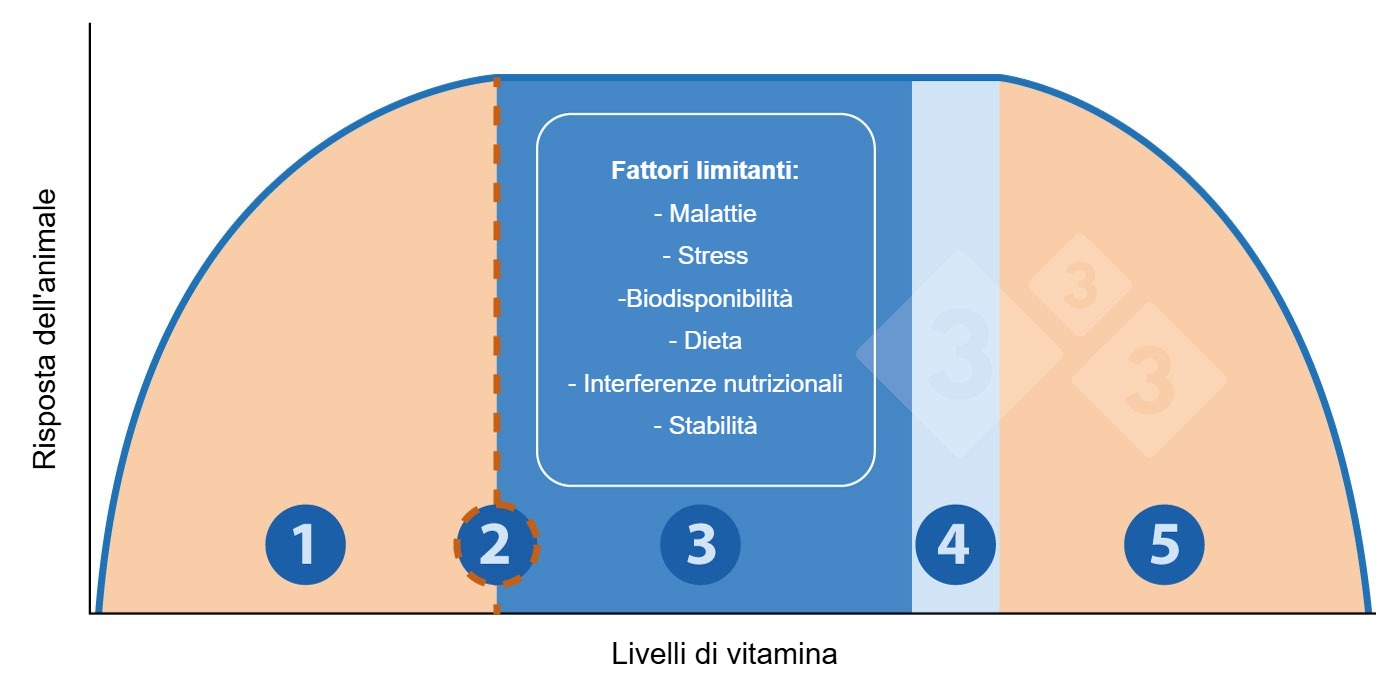 Figura 1. Relazione tra livello di vitamine e risposta animale.