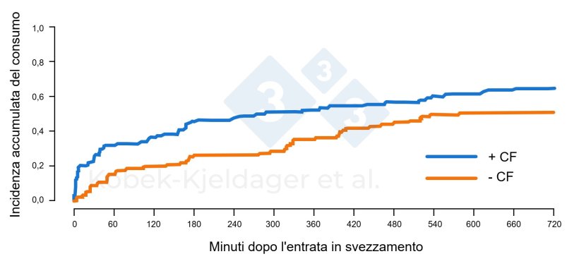 Figura 2. Incidenza cumulativa dell&#39;ingestione&nbsp;di mangime da parte dei suinetti dopo l&#39;ingresso nelle strutture di svezzamento, a seconda che durante il periodo di lattazione sia stato somministrato creep feed (+CF) o meno (-CF). Figura adattata da Kobek-kjeldager et al., 2021.
