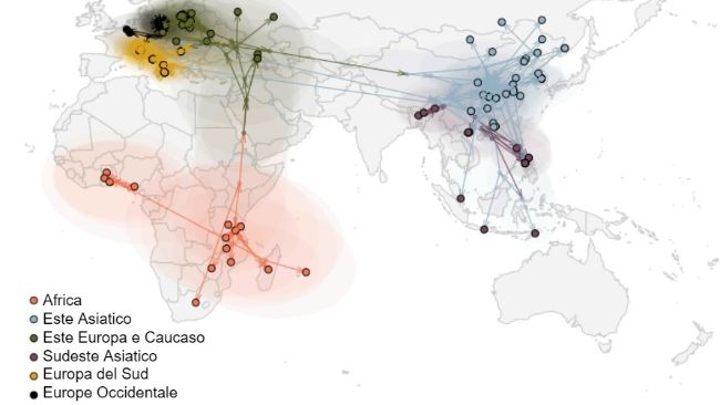 Figura&nbsp;2: Vie di diffusione globale del virus della PSA (Rossi et al. bioRxiv 2025).
