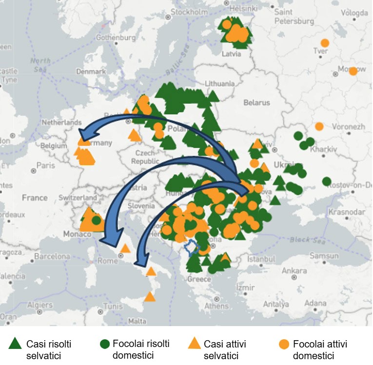 Figura 1: Probabile percorso del virus PSA verso i cluster in Lazio, Campania e Nord Reno- Wesphalia.